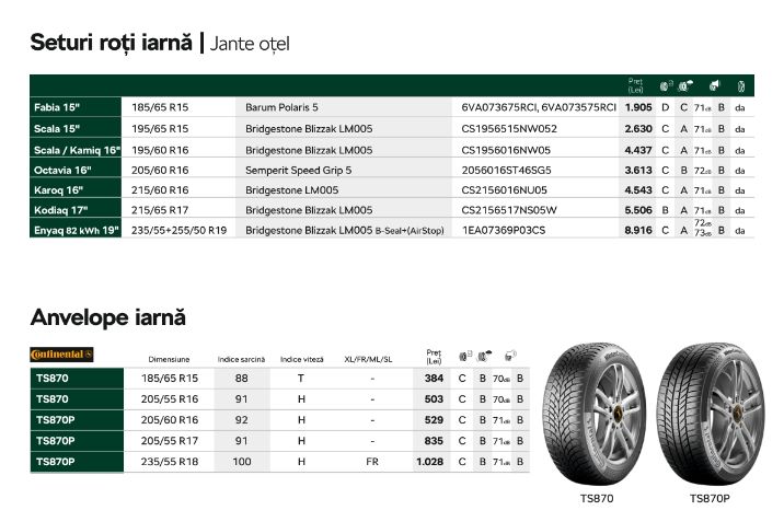 Accesorii Toamna-Iarna 5